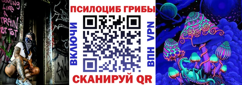 Галлюциногенные грибы Cubensis  Куровское 