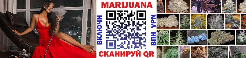 Бошки марихуана семена  купить наркотики цена  Куровское 